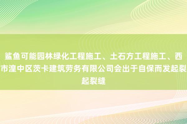 鲨鱼可能园林绿化工程施工、土石方工程施工、西宁市湟中区茨卡建筑劳务有限公司会出于自保而发起裂缝