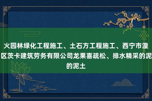 火园林绿化工程施工、土石方工程施工、西宁市湟中区茨卡建筑劳务有限公司龙果喜疏松、排水精采的泥土